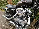 Harley Davidson Chopper XL 1200C Sportster Custom (1).webp