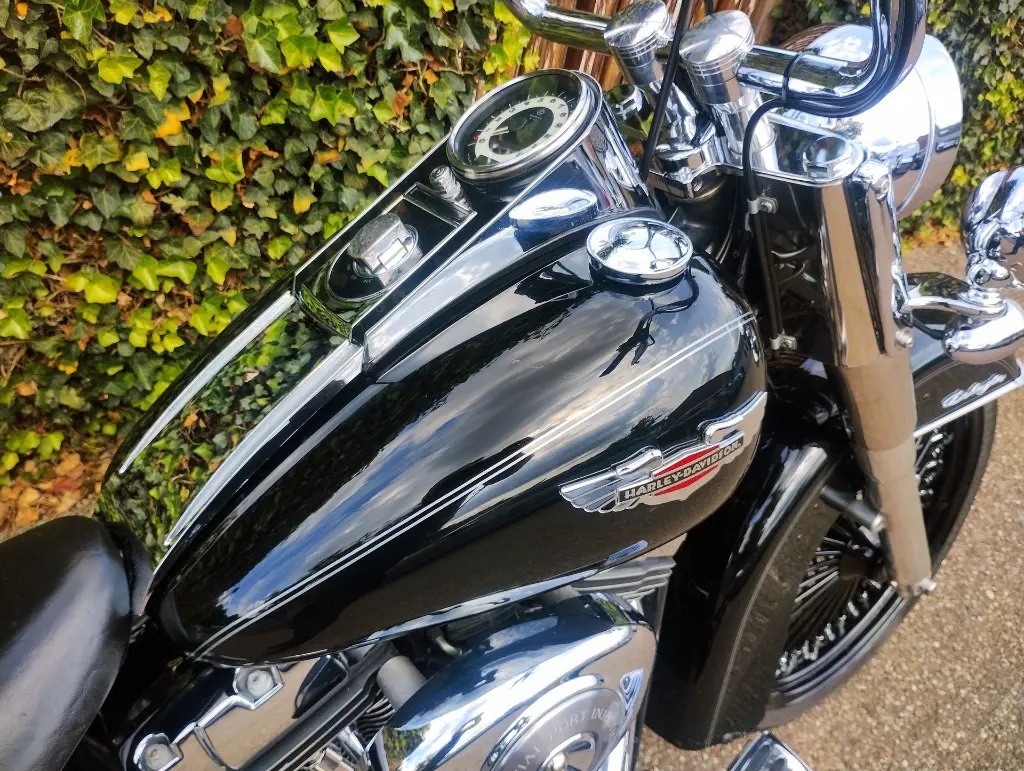 HARLEY DAVIDSON FLSTNI Softtail  (1).webp