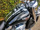 HARLEY DAVIDSON FLSTNI Softtail  (1).webp