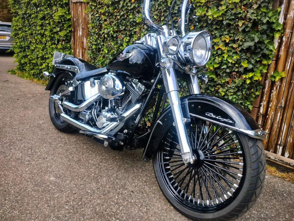 HARLEY DAVIDSON FLSTNI Softtail  (21).webp