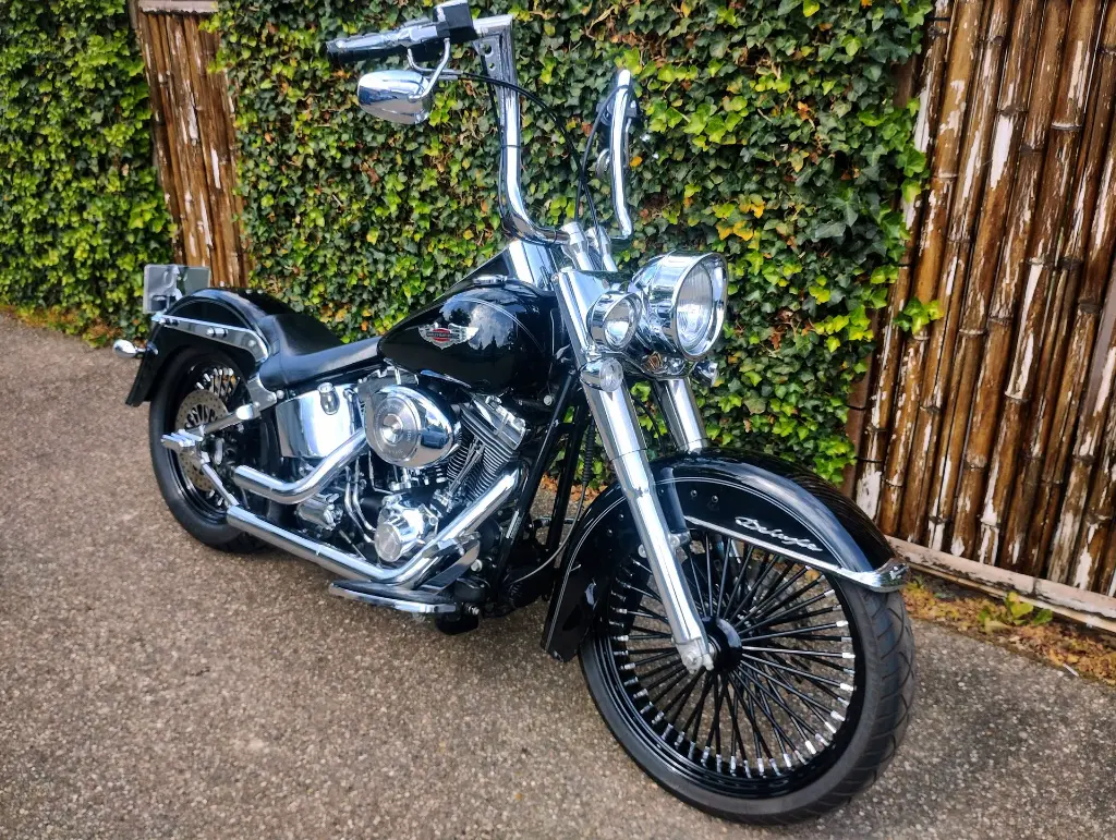 HARLEY DAVIDSON FLSTNI Softtail  (15).webp