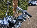 HARLEY DAVIDSON FLSTNI Softtail  (6).webp
