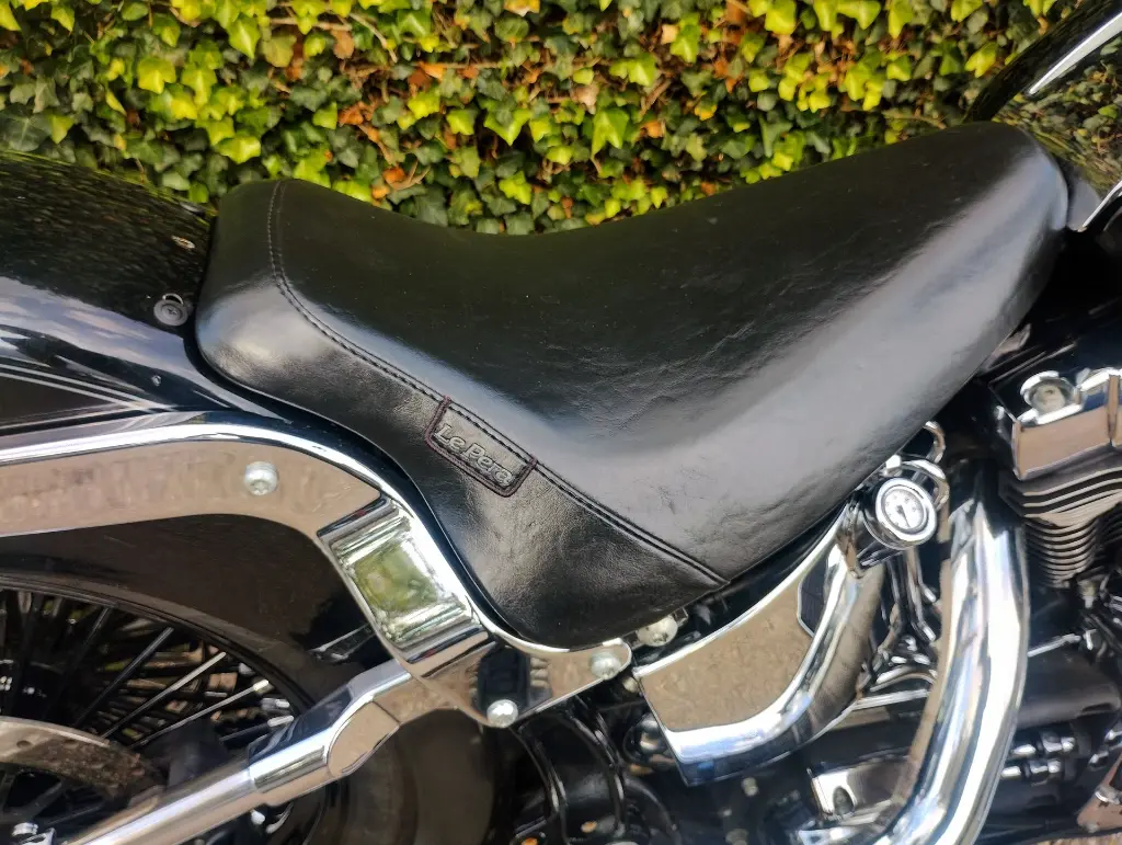 HARLEY DAVIDSON FLSTNI Softtail  (24).webp