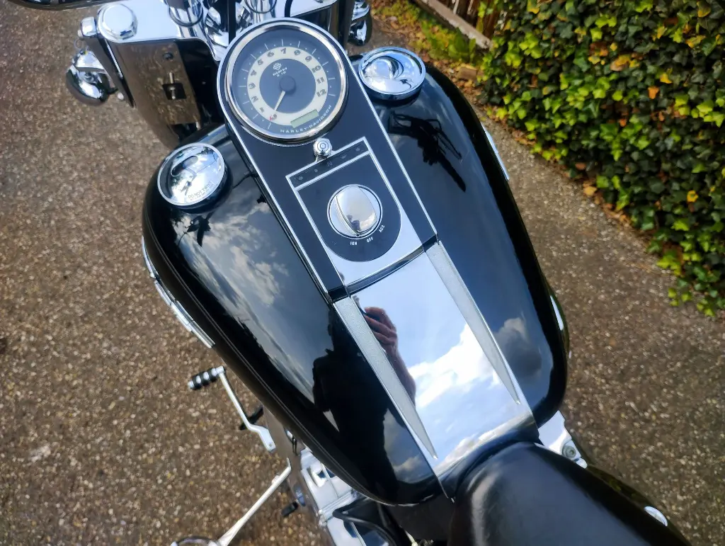 HARLEY DAVIDSON FLSTNI Softtail  (10).webp