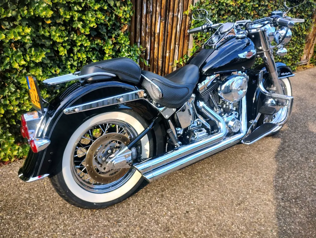 HARLEY DAVIDSON Softail Deluxe FLSN (15).webp