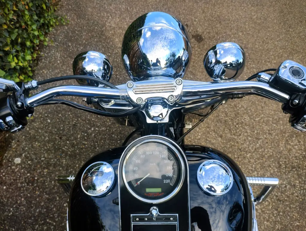 HARLEY DAVIDSON Softail Deluxe FLSN (17).webp