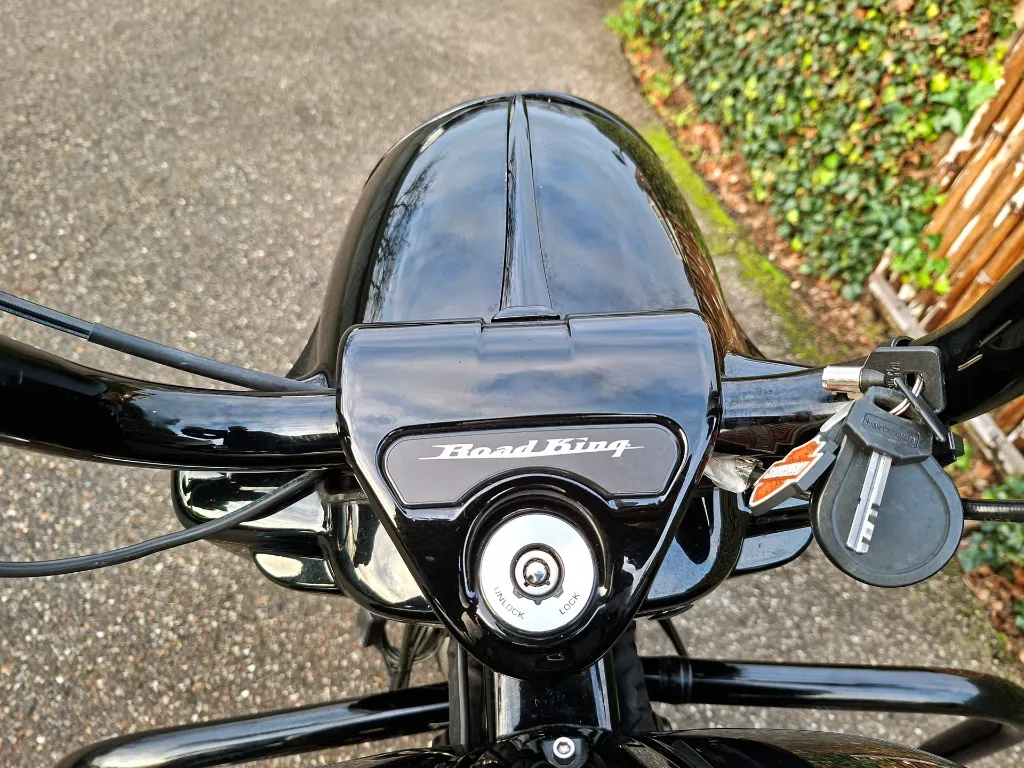 Harley Davidson 114 FLHRXS Road King Special (19).webp