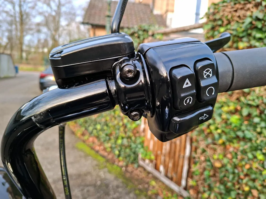 Harley Davidson 114 FLHRXS Road King Special (17).webp