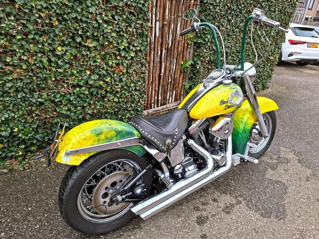 Harley Davidson FLSTC Heritage Softtail Classic (9).webp