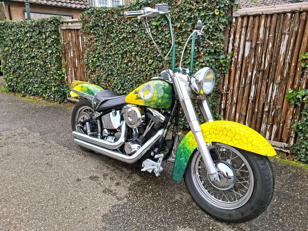 Harley Davidson FLSTC Heritage Softtail Classic (3).webp