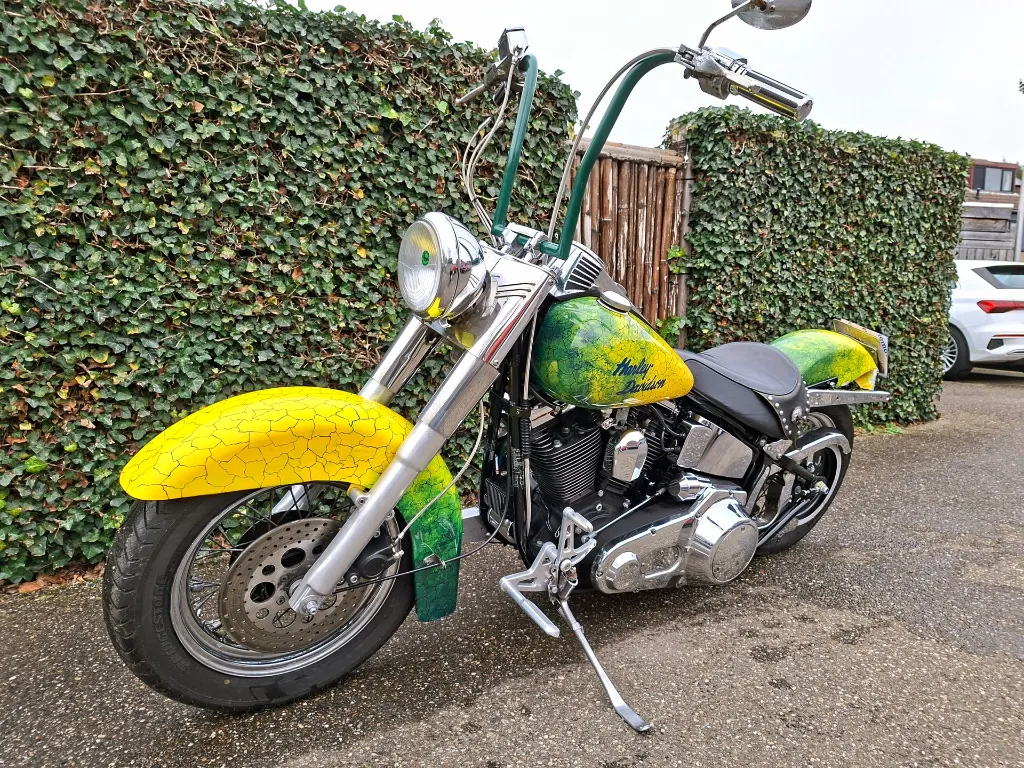 Harley Davidson FLSTC Heritage Softtail Classic (12).webp