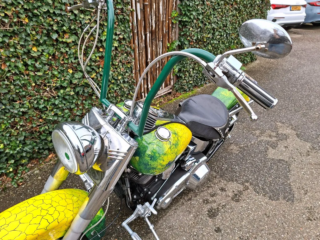 Harley Davidson FLSTC Heritage Softtail Classic (14).webp