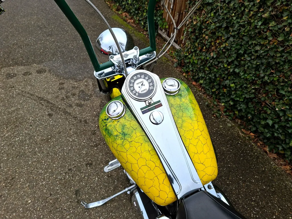 Harley Davidson FLSTC Heritage Softtail Classic (21).webp