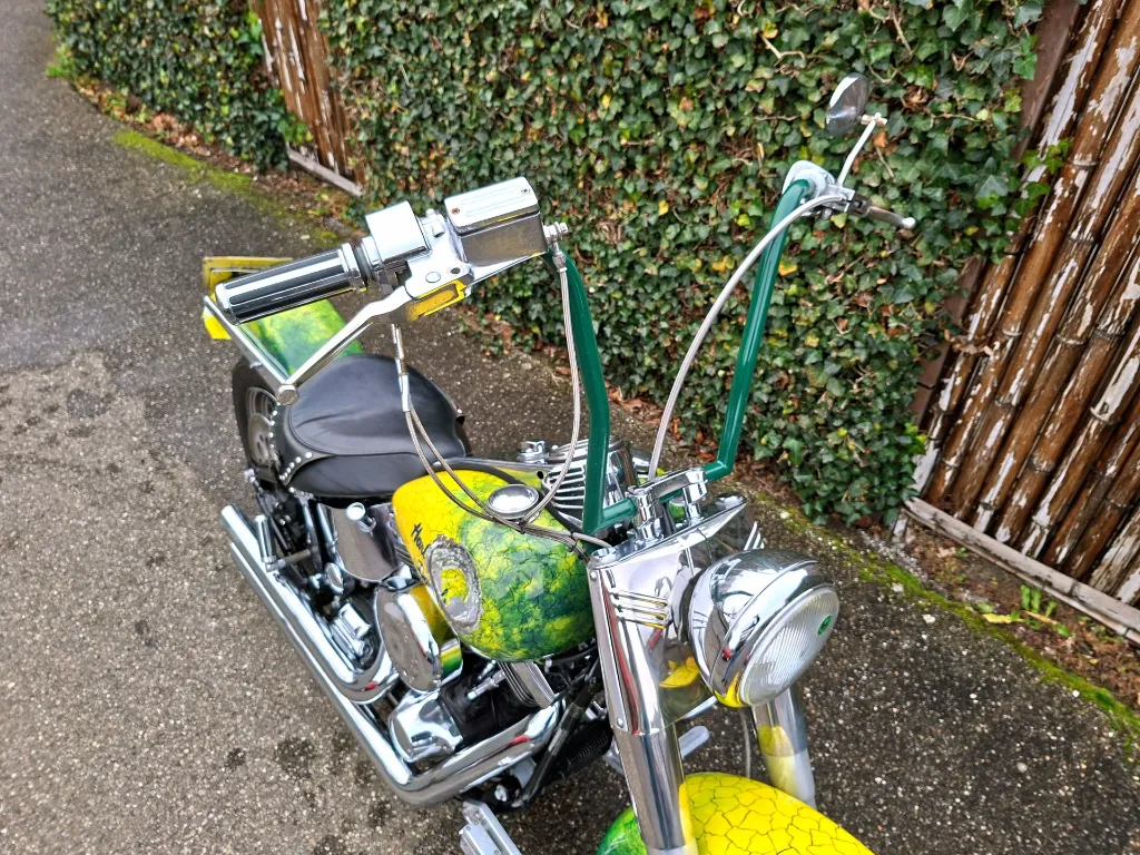 Harley Davidson FLSTC Heritage Softtail Classic (7).webp