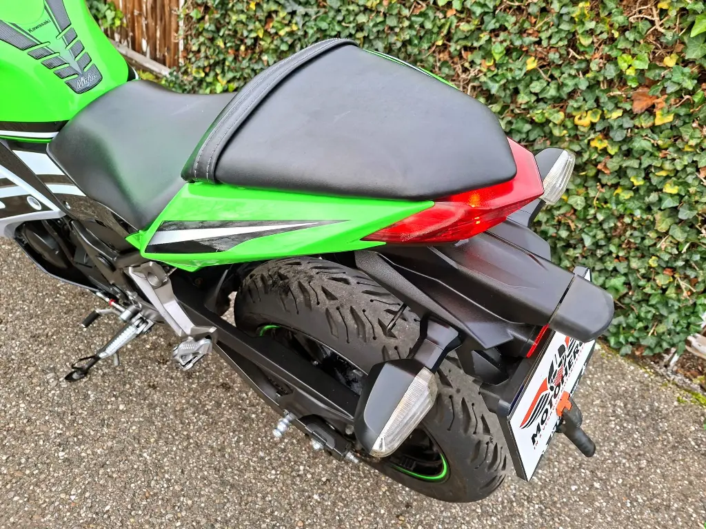 KAWASAKI Ninja 300 Anniversary Edition (5).webp