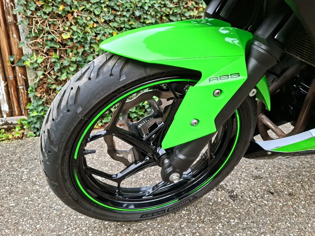 KAWASAKI Ninja 300 Anniversary Edition (12).webp