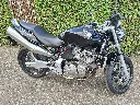 HONDA CB 600 F Hornet (1).webp