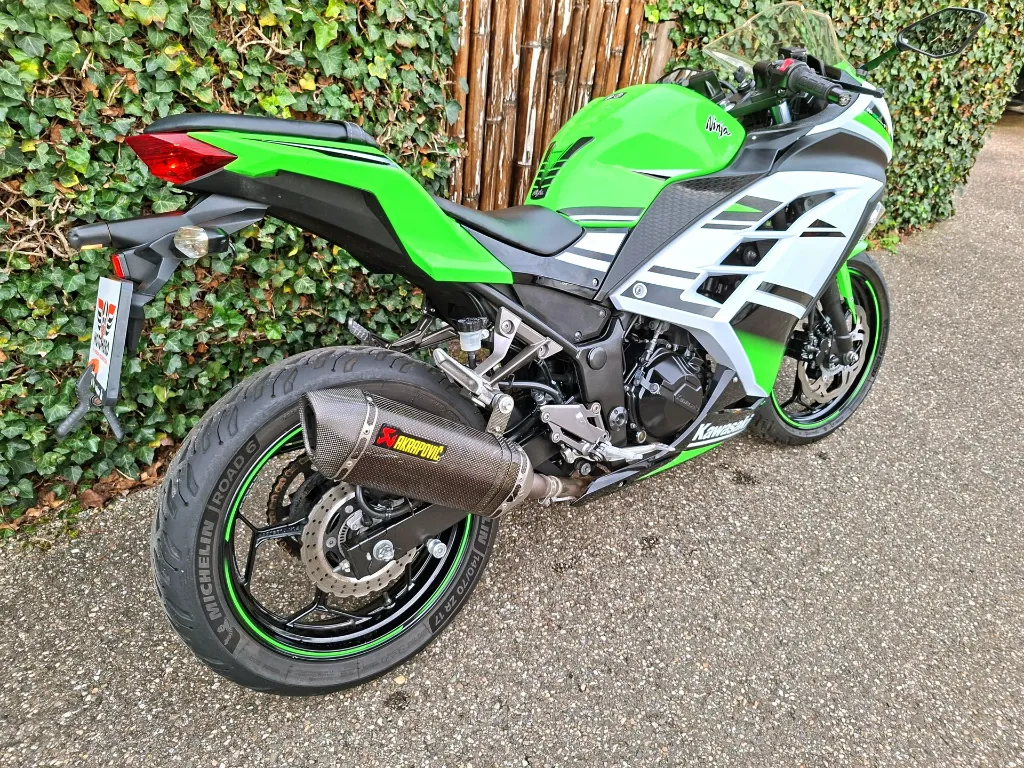 KAWASAKI Ninja 300 Anniversary Edition (9).webp