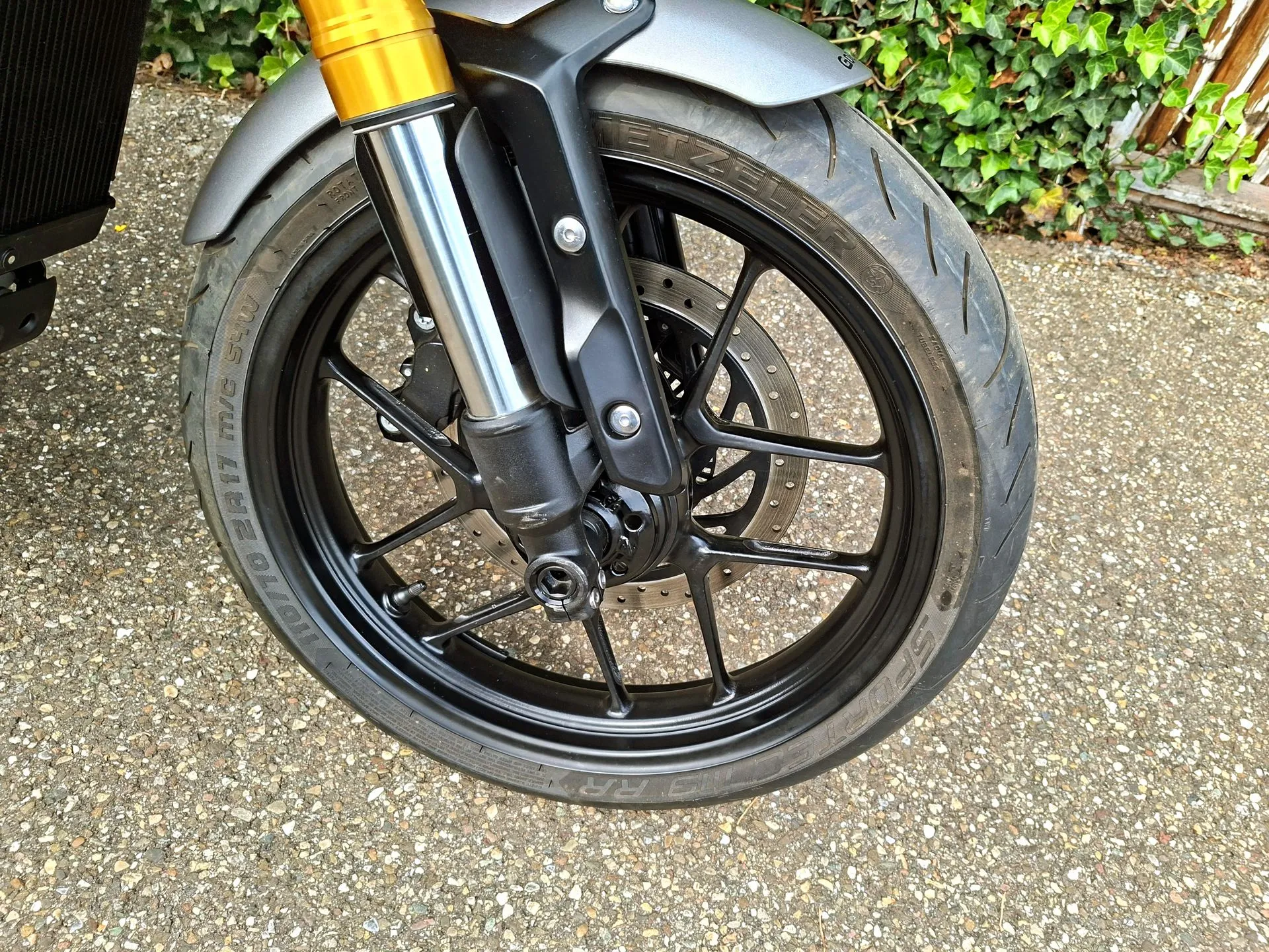 Triumph Speed 400 (16).webp