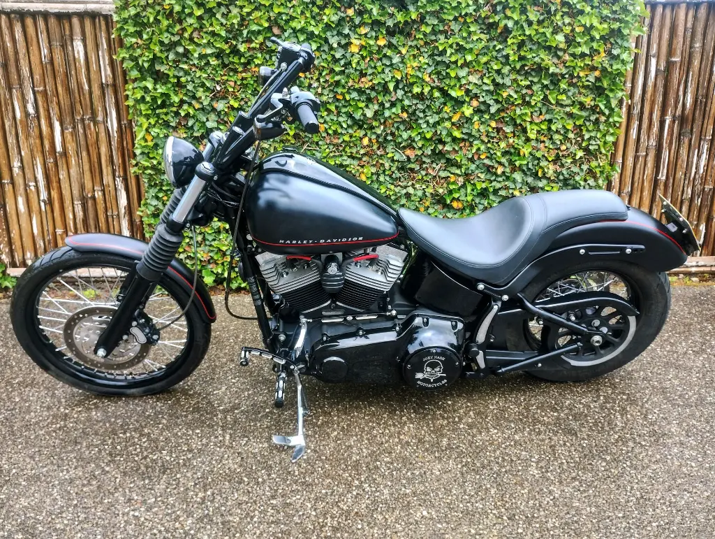 HARLY DAVIDSON BLACKLINE FXS 103 (16).webp