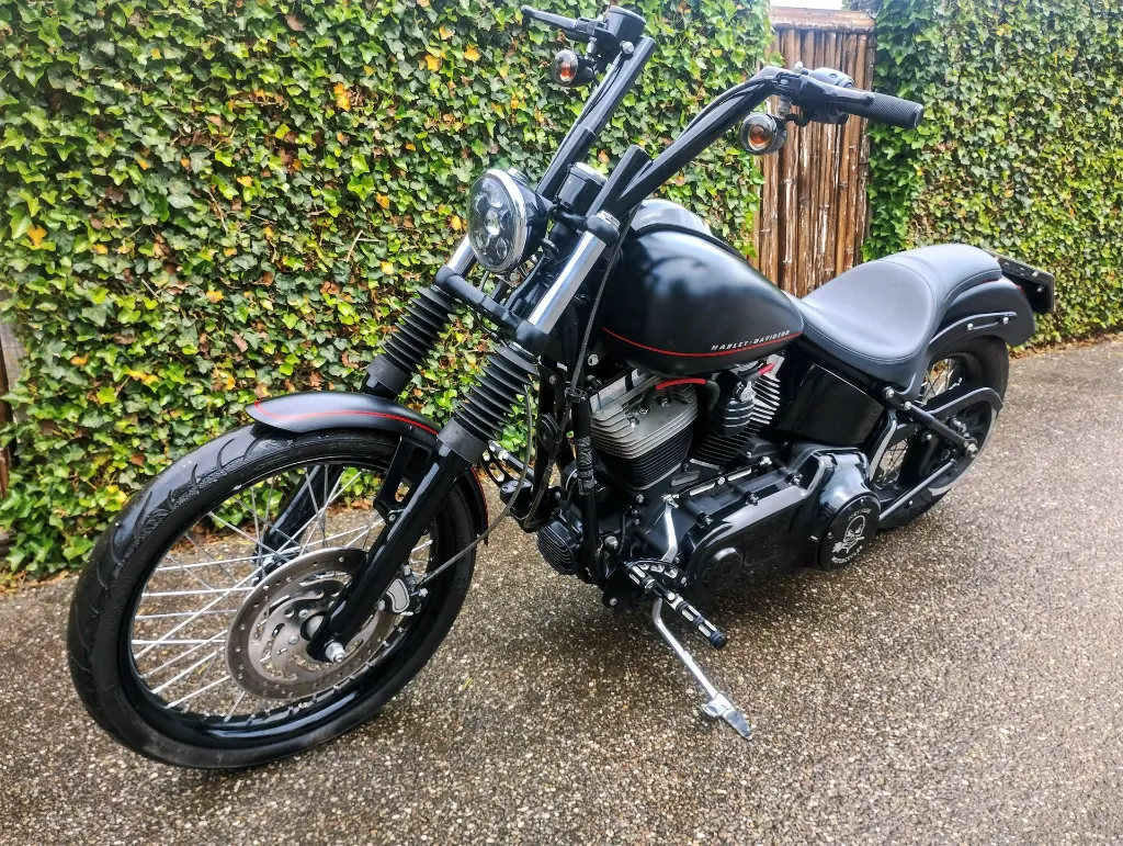 HARLY DAVIDSON BLACKLINE FXS 103 (17).webp