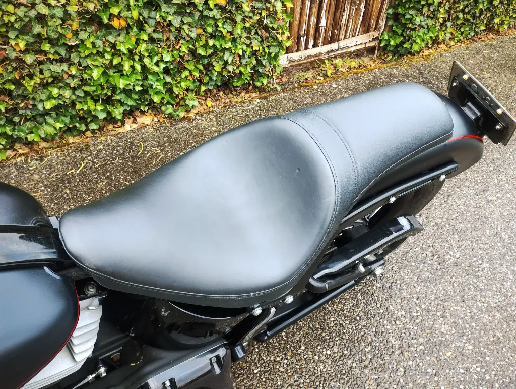 HARLY DAVIDSON BLACKLINE FXS 103 (8).webp