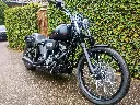 HARLY DAVIDSON BLACKLINE FXS 103 (10).webp