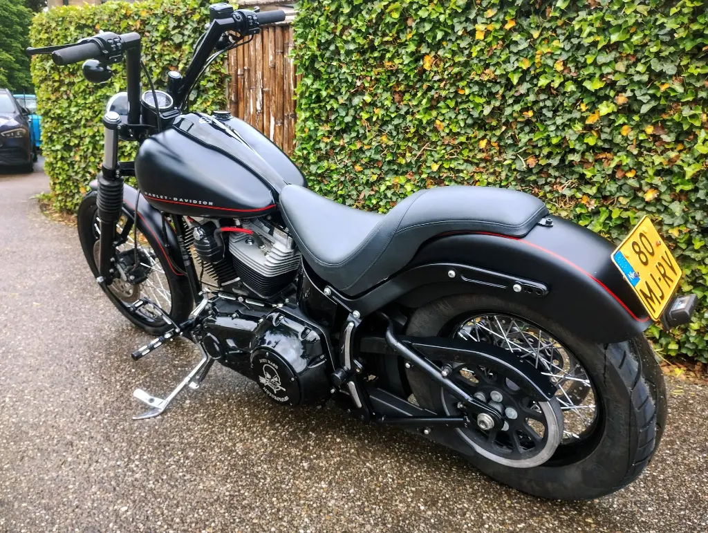 HARLY DAVIDSON BLACKLINE FXS 103 (20).webp