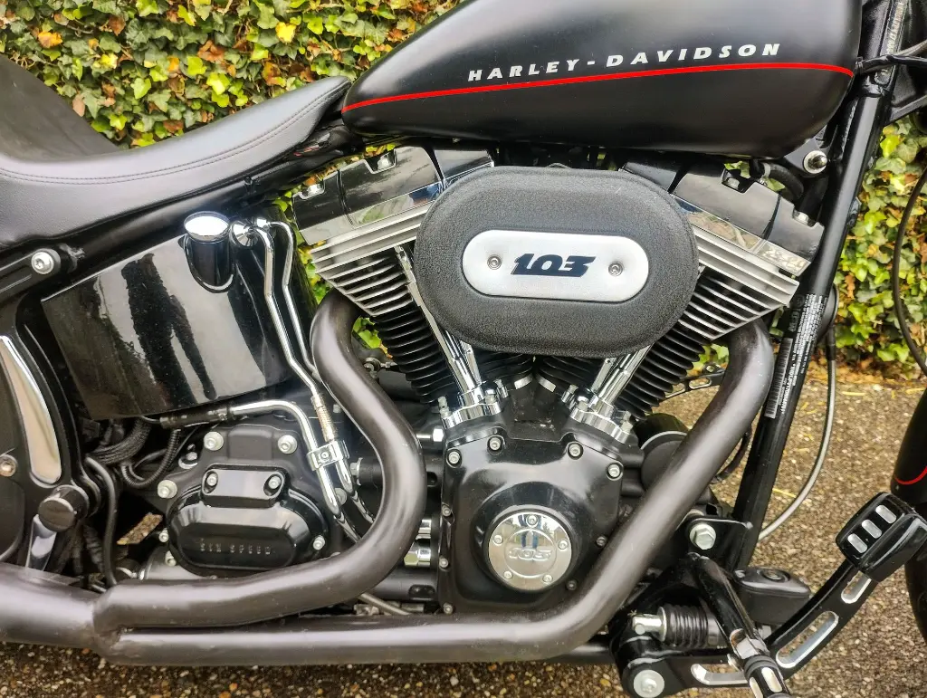 HARLY DAVIDSON BLACKLINE FXS 103 (12).webp
