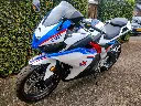 TR MOTOR GP1 (25).webp