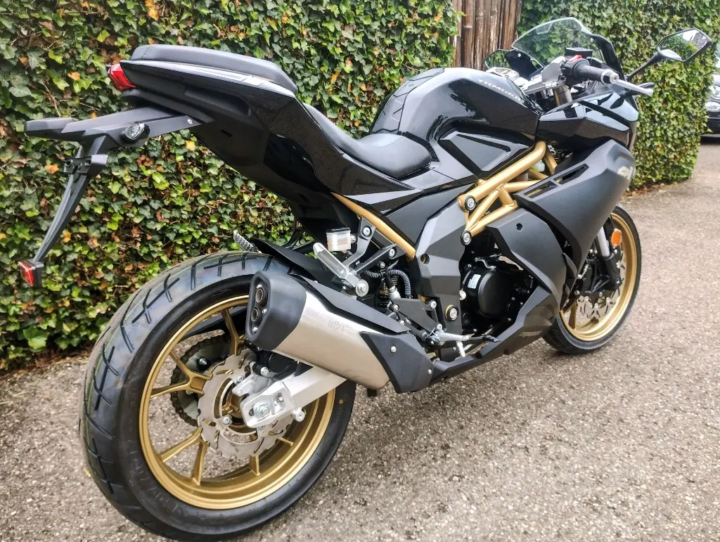 TR MOTOR GP1 (19).webp