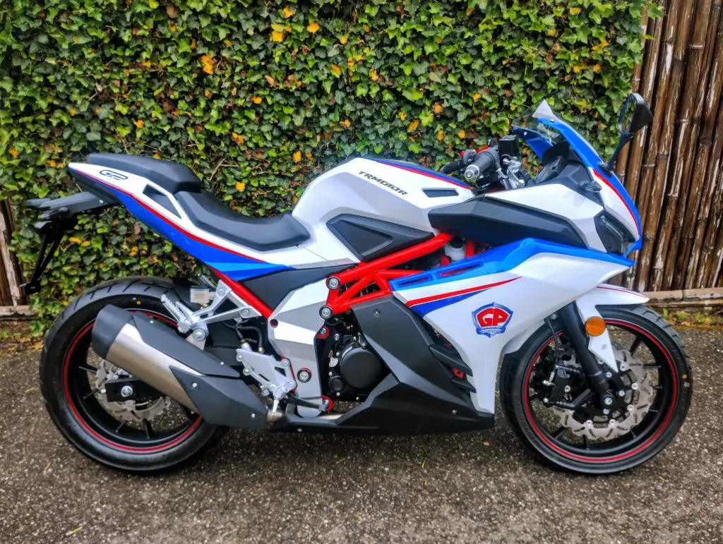 [65-MZ-RZ] TR MOTOR GP1